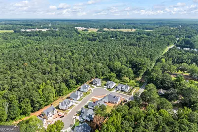 509 Mill Farm Lane, Monroe, GA 30655 - Photo 65