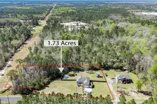 353 Palmer Road NE, Ludowici, GA 31316 - Photo 45