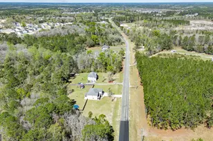 353 Palmer Road NE, Ludowici, GA 31316 - Photo 51