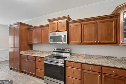 353 Palmer Road NE, Ludowici, GA 31316 - Photo 25