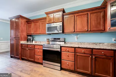 353 Palmer Road NE, Ludowici, GA 31316 - Photo 15