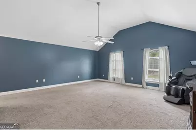 353 Palmer Road NE, Ludowici, GA 31316 - Photo 29