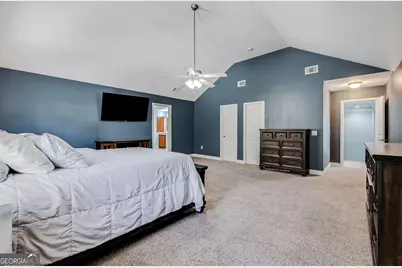 353 Palmer Road NE, Ludowici, GA 31316 - Photo 25