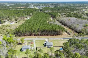 353 Palmer Road NE, Ludowici, GA 31316 - Photo 49
