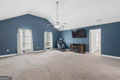 353 Palmer Road NE, Ludowici, GA 31316 - Photo 27