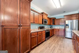 353 Palmer Road NE, Ludowici, GA 31316 - Photo 13