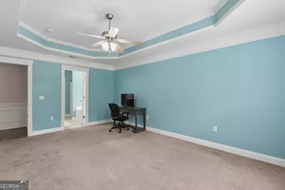 353 Palmer Road NE, Ludowici, GA 31316 - Photo 33