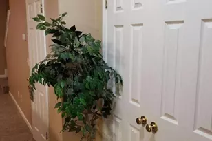 6111 Camden Forrest Dr, Riverdale, GA 30274 - Photo 9