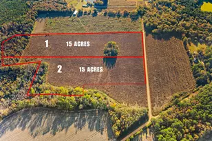 0 Waters Ln, Claxton, GA 30417 - Photo 1