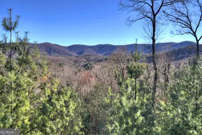 249 Settlement Road, Epworth, GA 30541 - Photo 7