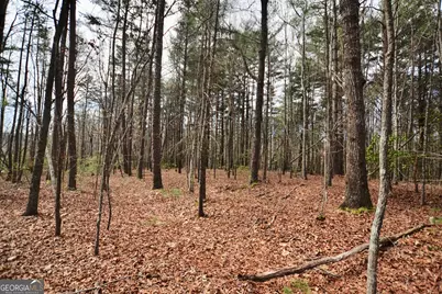 545 Clay Drive, Blairsville, GA 30512 - Photo 7