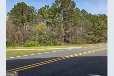 00 Bear Creek Boulevard #00, Hampton, GA 30228 - Photo 3