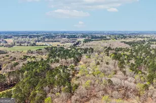 8 Tanglewood Rd, Newnan, GA 30263 - Photo 97