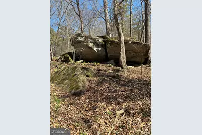 802 Lane Road, Monticello, GA 31064 - Photo 7