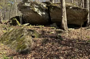 802 Lane Rd, Monticello, GA 31064 - Photo 7