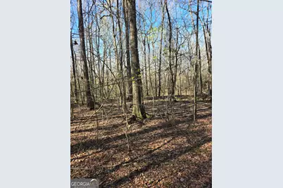 1381 Trestle Road, Locust Grove, GA 30248 - Photo 3