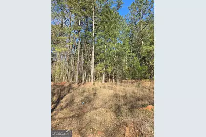 1381 Trestle Road, Locust Grove, GA 30248 - Photo 1