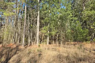 1381 Trestle Rd, Locust Grove, GA 30248 - Photo 1