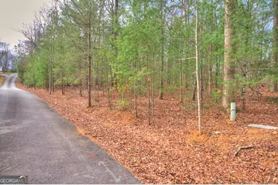 Lot 12 Deer Forest, Morganton, GA 30560 - Photo 7
