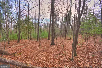 Lot 12 Deer Forest, Morganton, GA 30560 - Photo 3