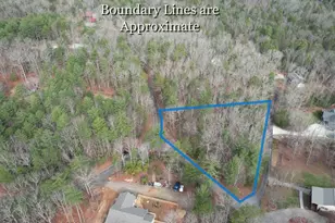 Lot 12 Deer Forest, Morganton, GA 30560 - Photo 1