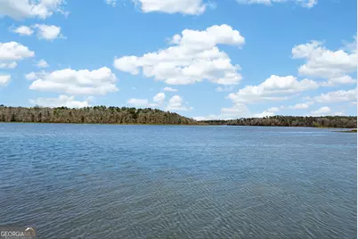 4 Grayson Point, Hogansville, GA 30230 - Photo 63