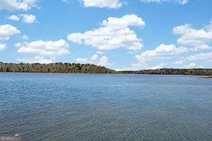 4 Grayson Point, Hogansville, GA 30230 - Photo 63