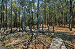 4 Grayson Point, Hogansville, GA 30230 - Photo 57