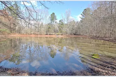 6475 Newnan Road, Brooks, GA 30205 - Photo 69