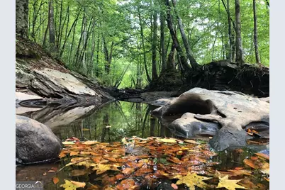 5816 Gabbro Court, Lithia Springs, GA 30122 - Photo 33