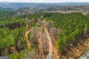 1215 Crossroads Church Rd, Ellijay, GA 30540 - Photo 79