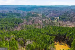 1215 Crossroads Church Rd, Ellijay, GA 30540 - Photo 81