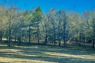 1072 Ford Rd, Jefferson, GA 30549 - Photo 1