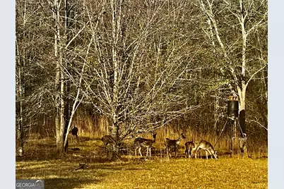 1072 Ford Road, Jefferson, GA 30549 - Photo 5