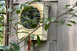 930 Ash St NE, Dawson, GA 39842 - Photo 17