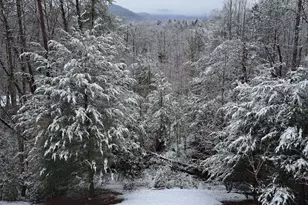 1172 Settler's Ridge Rd, Ellijay, GA 30540 - Photo 45