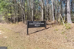 155 Bear Run Ct, Chattahoochee Hills, GA 30268 - Photo 41