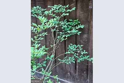 36 Fairway Lane, Peachtree City, GA 30269 - Photo 41