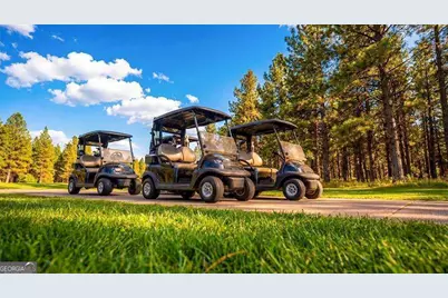 39 Sweet Rose Court, Newnan, GA 30265 - Photo 15