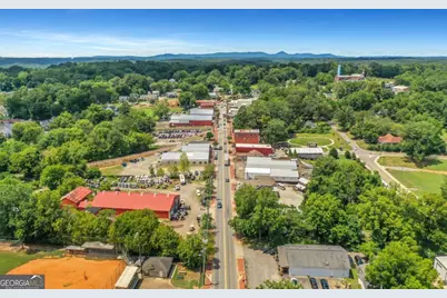 138 Marble Tree Way, Ball Ground, GA 30107 - Photo 63