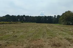 102 Folds Rd, Pineview, GA 31071 - Photo 3