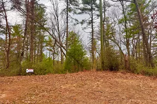 0 Long Mountain Dr, Lakemont, GA 30552 - Photo 1