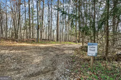 390 Lake Place Drive, Lavonia, GA 30553 - Photo 27