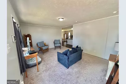 1010 Mize Road, Toccoa, GA 30577 - Photo 3