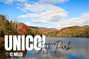 36 Village Ct, Cleveland, GA 30528 - Photo 23