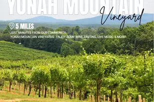 36 Village Ct, Cleveland, GA 30528 - Photo 25