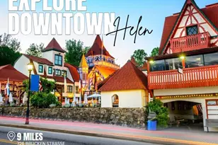 36 Village Ct, Cleveland, GA 30528 - Photo 21