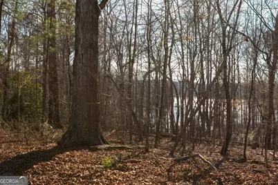 6212 Autumn Hill Court, Gainesville, GA 30506 - Photo 5