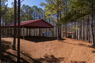 175 Thornton Rd, Franklin, GA 30217 - Photo 79