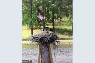 175 Thornton Road, Franklin, GA 30217 - Photo 107